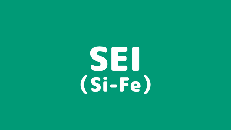 Sei Isfj の適職 働き方とは おすすめ就活サイト付 いざよいブログ