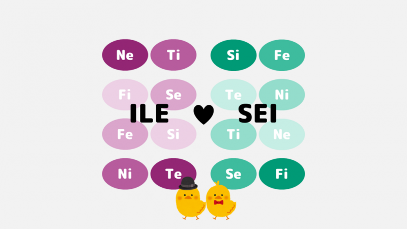 双対関係のモデルA：ILEとSEI