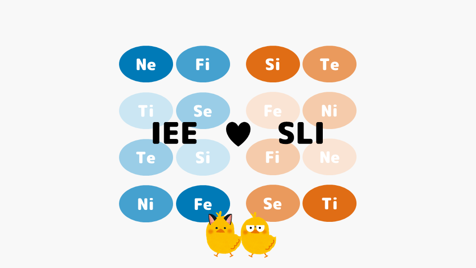 双対関係のモデルA：IEEとSLI